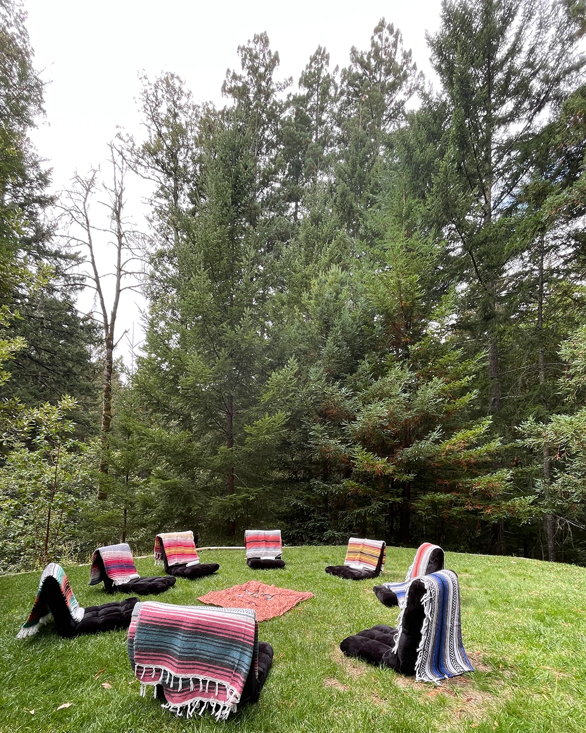 Contact Wendy Figone to Book Your Somatic Experience