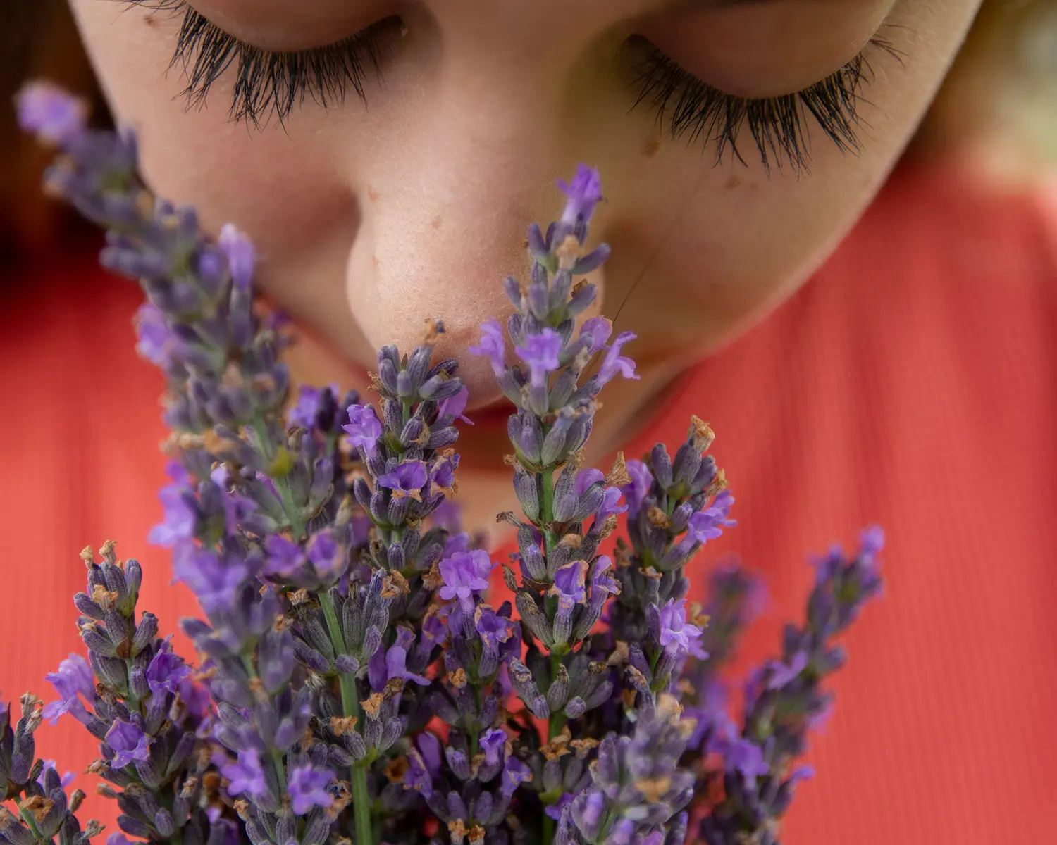 How Science, Somatics, and Nature Work Together